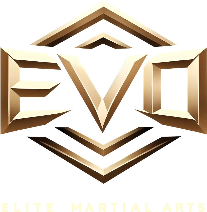 evomartialarts.com